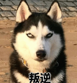 逆袭者联盟：辽宁老铁的三谋翻盘启示录