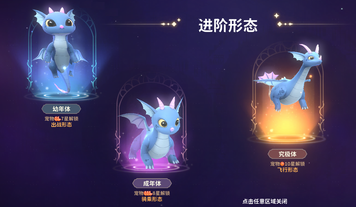 新手龙骑士必修课丨缔结你的宠物伙伴！