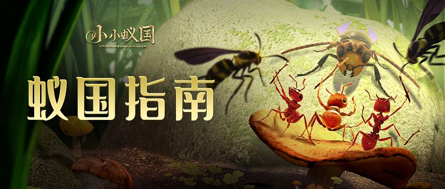 【蚁国指南】最强区域战活动的保姆级介绍，带你一探究竟！