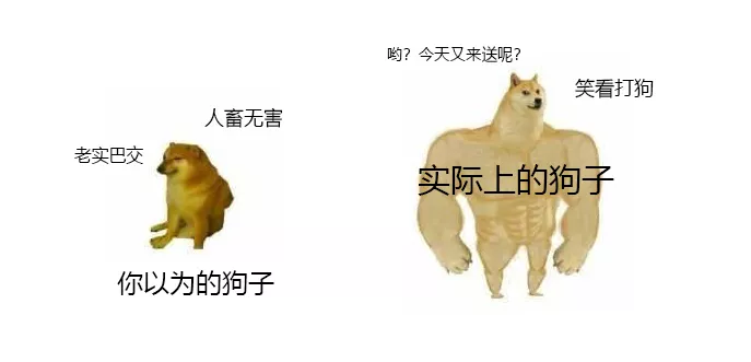 隐仙湾竟有隐藏副本？狗子恐成最大受害者！