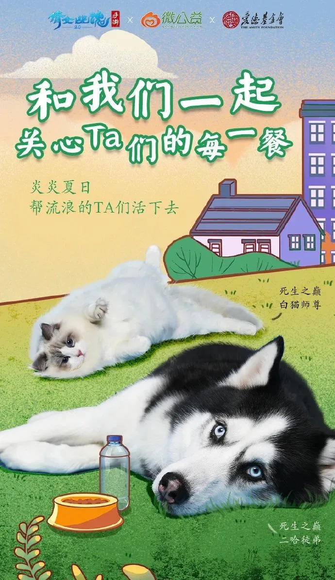 我们一起，让700只流浪毛孩子不再饿肚子