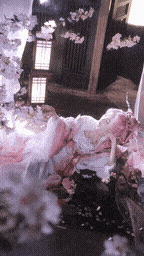 一场“桃花雪”，落满江湖也冲上热搜