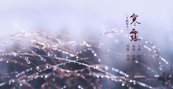 白露和寒露的小知识，你get了吗？