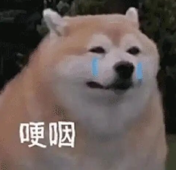 有没有因为“游戏公告预告新玩法”而兴奋得睡不着？ 