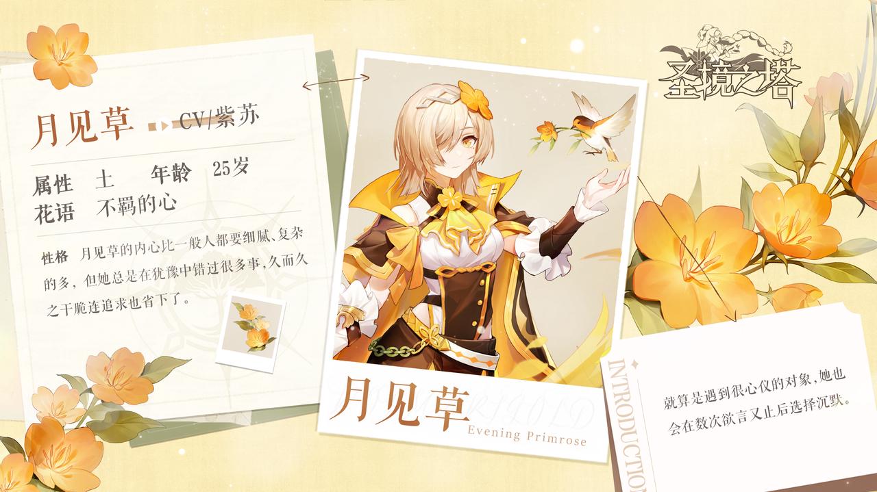 《圣境之塔》月见草：甘于平凡，保持沉默