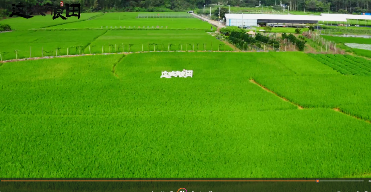 这是一则价值五万的招聘启事！《这城有良田》直聘一人送一整个农田！