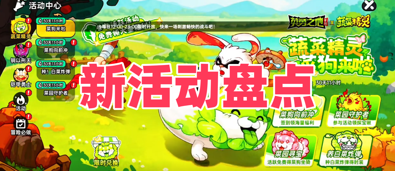 新活动盘点