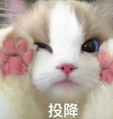 改编热潮背后： 三谋给出破局答案
