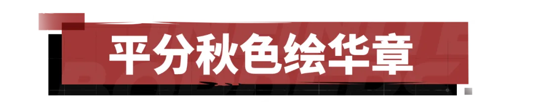 X3650-X3667局势：“寒朝”、“青云志”硬碰硬，“四火”一锤定音！