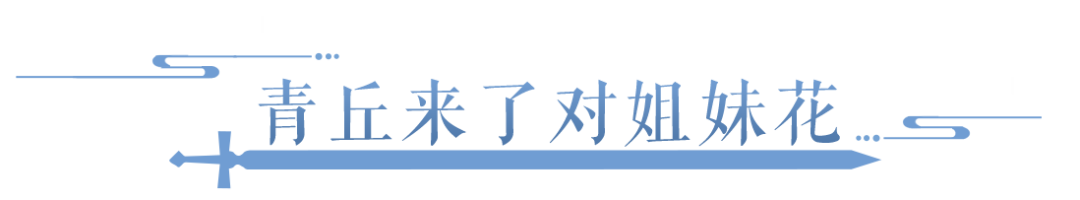 国风穿搭美学暴击！今天你被哪套蛊到了？