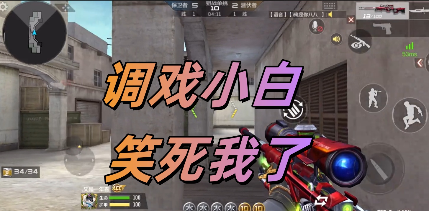 调戏小白 笑死我了