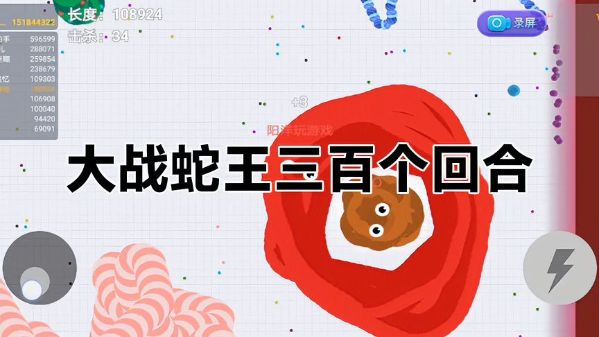 贪吃蛇大作战：大战蛇王！蛇王真是块硬骨头，盘下真不容易