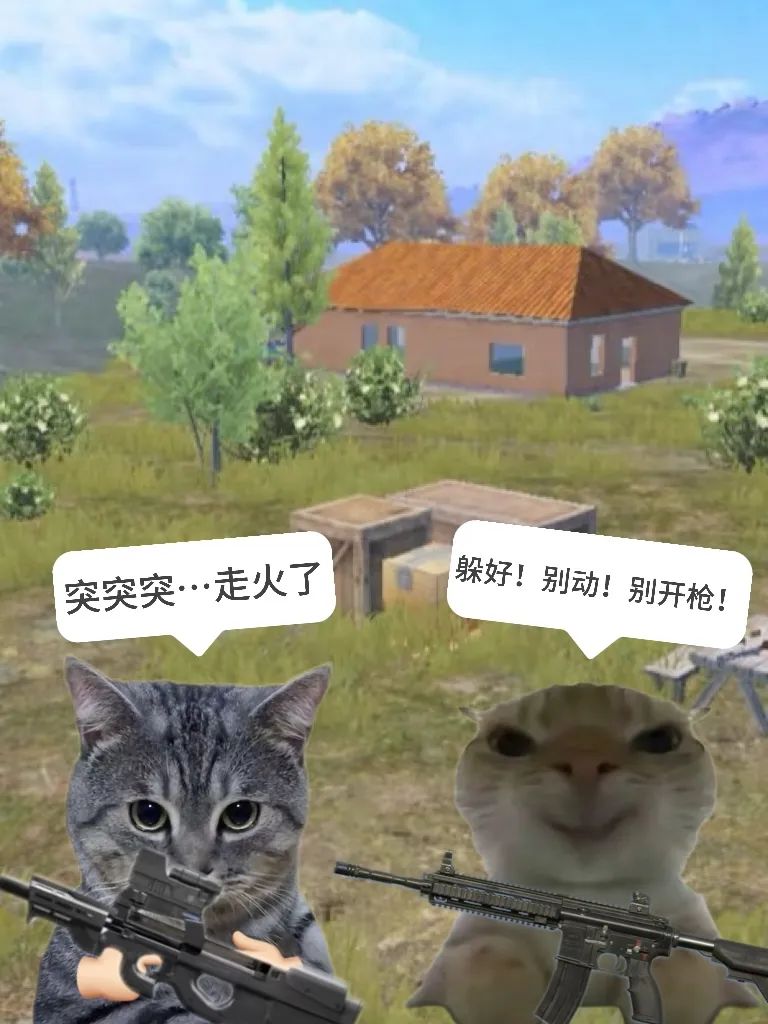 趣事投稿 | 队友走火被满编队听到~