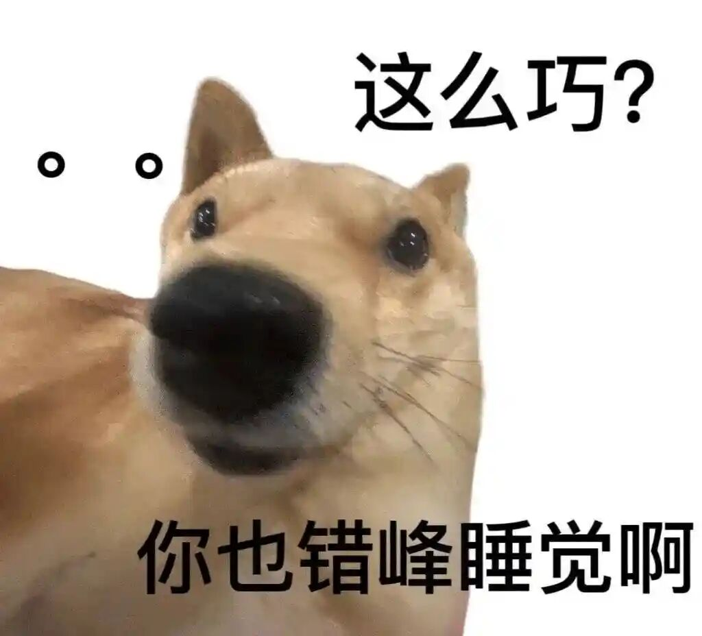 你们在游戏里的口头禅是什么？