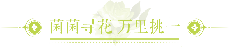 前方99999朵鲜花预警，这不比以爱之名有仪式感？