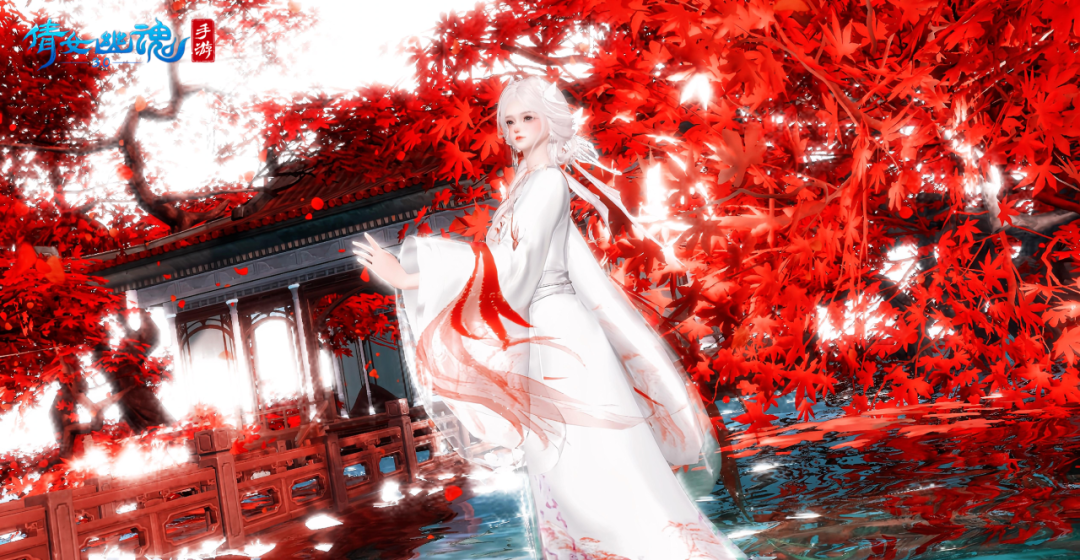 大批动物“疯狂”入侵！三界秒变“动物城”