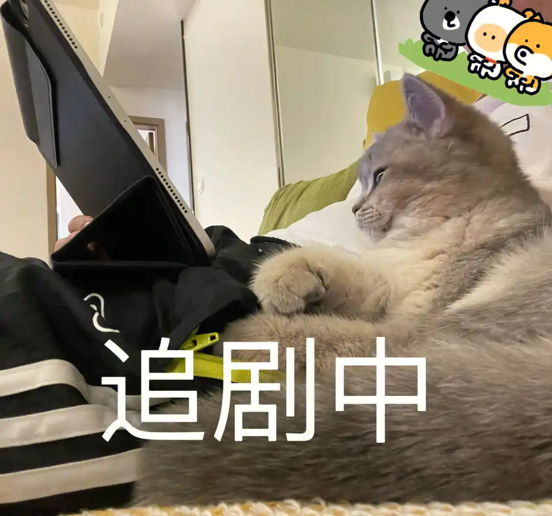 演员选角风波背后 三谋玩家如何谋定天下？
