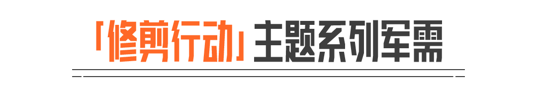 修剪行动丨新角色【园丁】、全新枪械涂装【消抹·M110】！送20抽！
