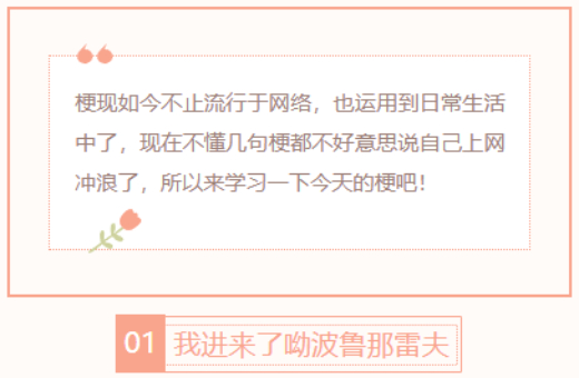 【每日梗图】我进来了呦波鲁那雷夫