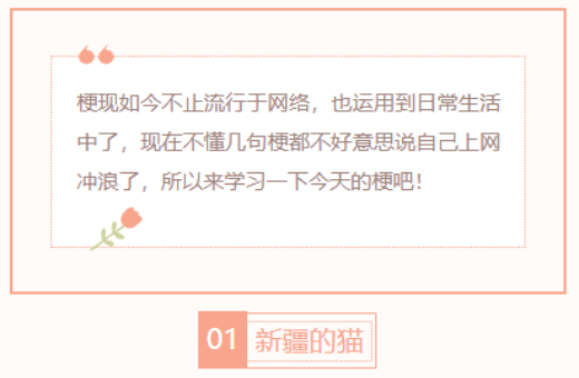 【每日梗图】新疆的猫
