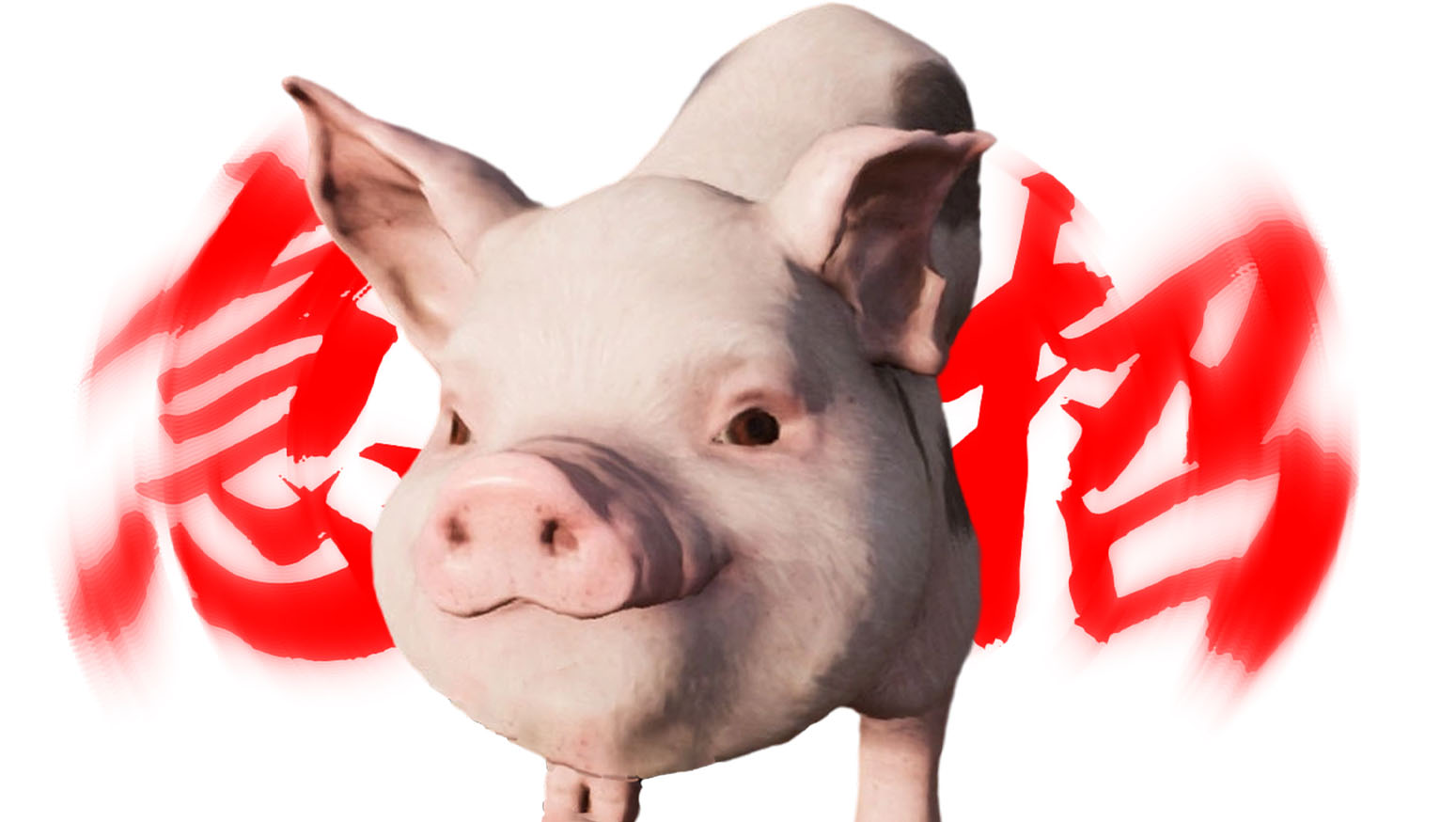 诚聘野人！日薪500，包吃包住