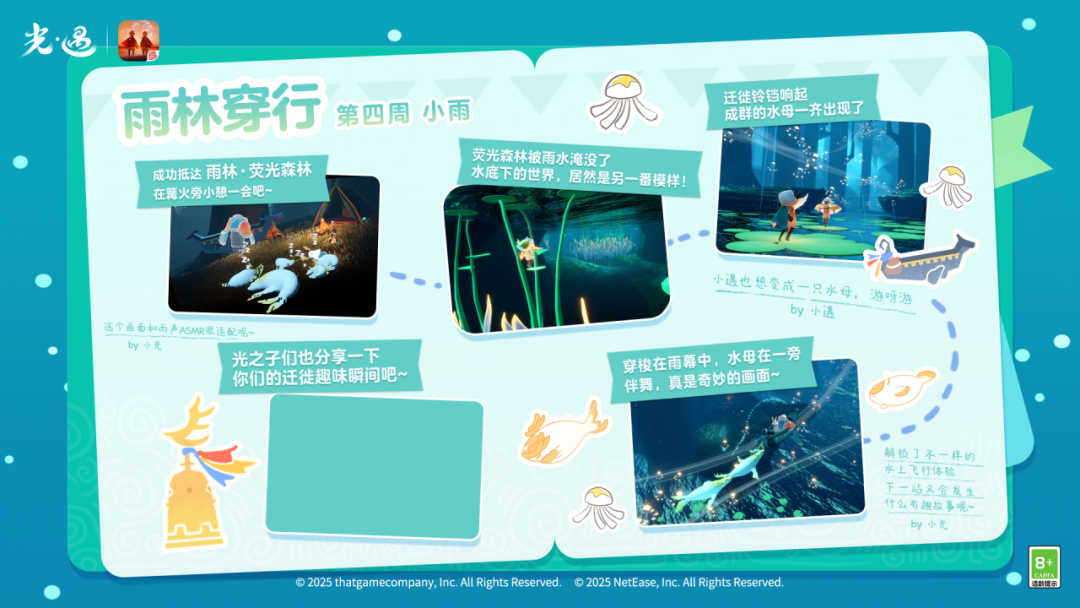 迁徙季任务四已开启｜漫游雨中，聆听自然的摇篮曲