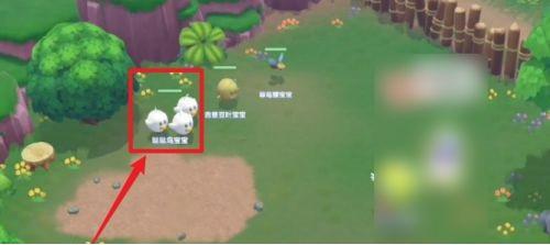 摩尔庄园手游：可爱的哒哒鸟还不知道如何捕捉？这么可爱应该人手一只