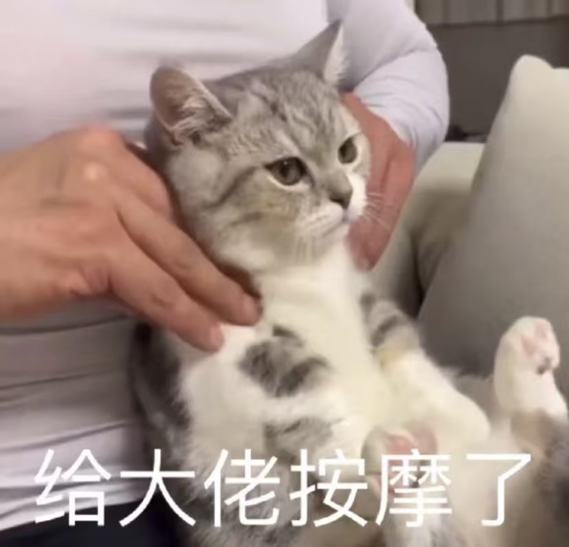 三谋的职业系统我一开始觉得是噱头，直到被奇佐烧穿了老家