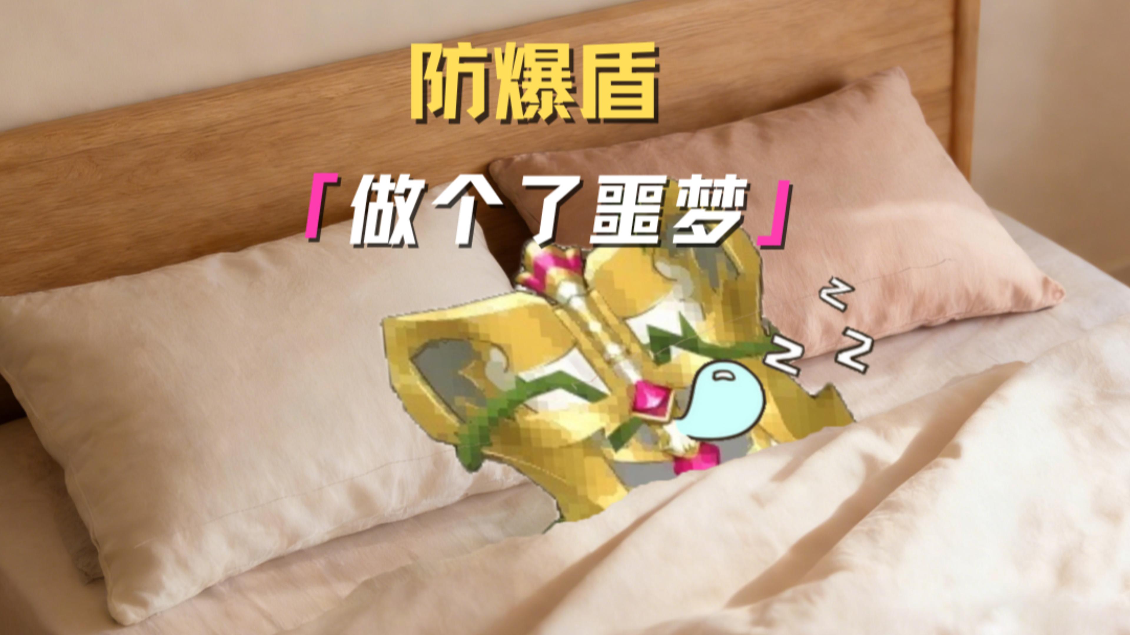 这天晚上...防爆盾做了一个噩梦 