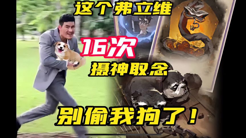 哈利波特·魔法觉醒：一场比赛，两位选手，十几条狗…不是说叫“火灰蛇弗立维”的吗