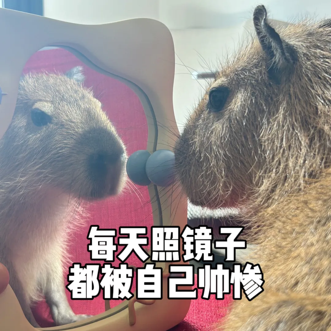 国民网红入职天机阁，爆改策划整顿游戏职场？