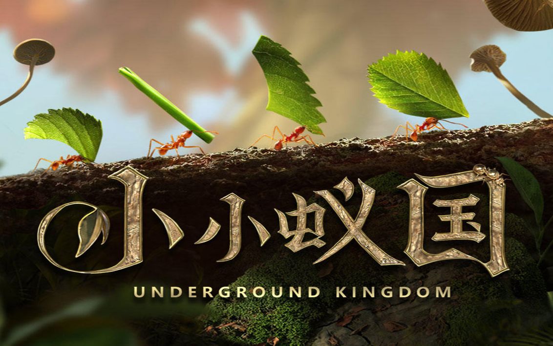 《小小蚁国》种植习性保资源，前期发育无压力！