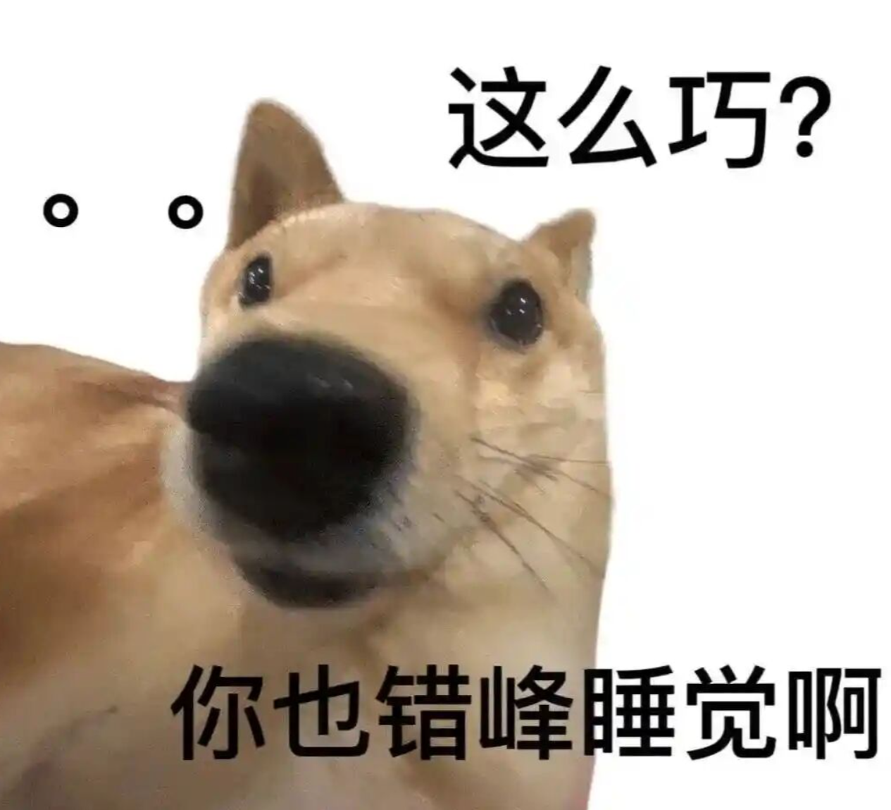 玩SLG最怕“又肝又氪”，三谋呢？