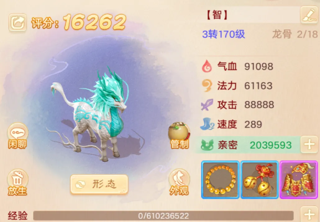 这个乌龟骨骼惊奇，一看就不一般！