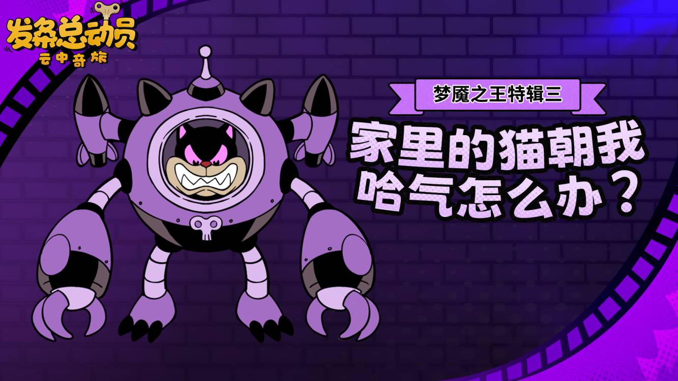 【梦魇之王特辑三】：家里的猫朝我哈气怎么办？