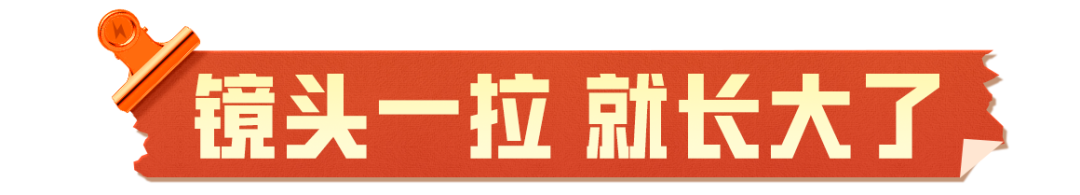 镜头一拉，小萌新变大肘子了