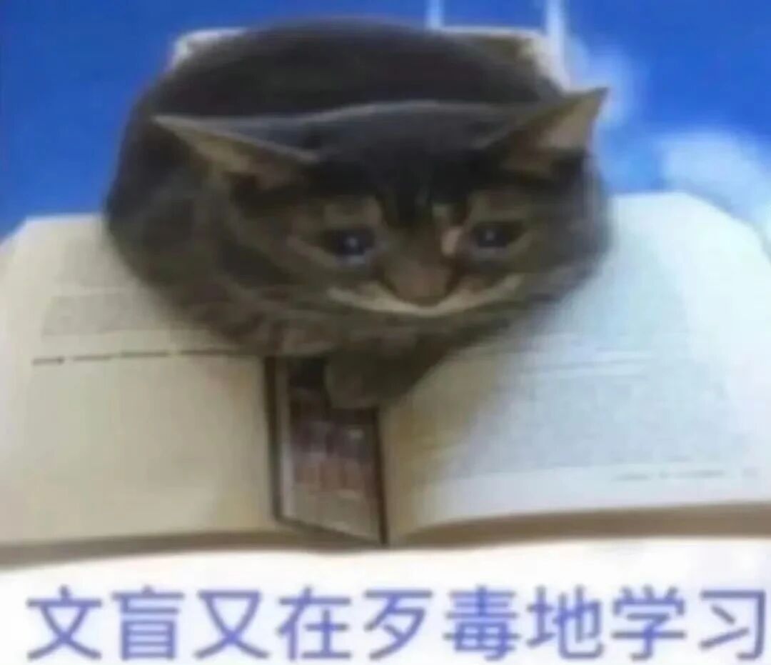 找崽崽，找CP