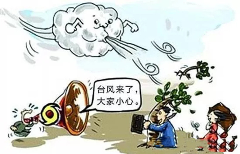 汤姆猫告诉你台风来了需要注意什么