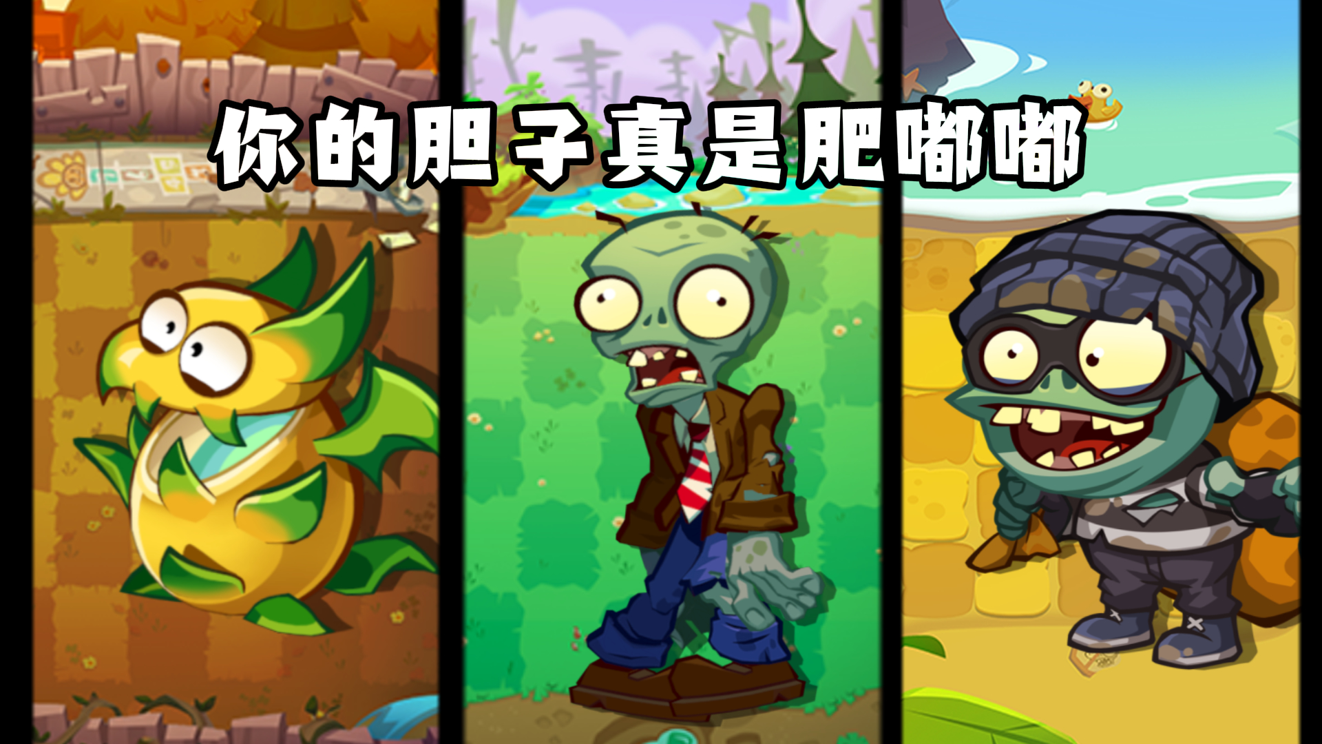你的胆子真的肥嘟嘟的 