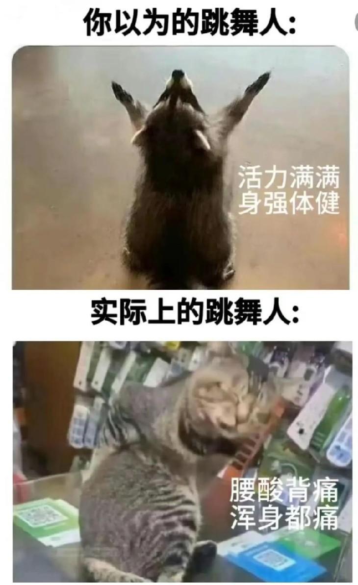 星二代韩娱首秀热议 三谋乱世揭秘