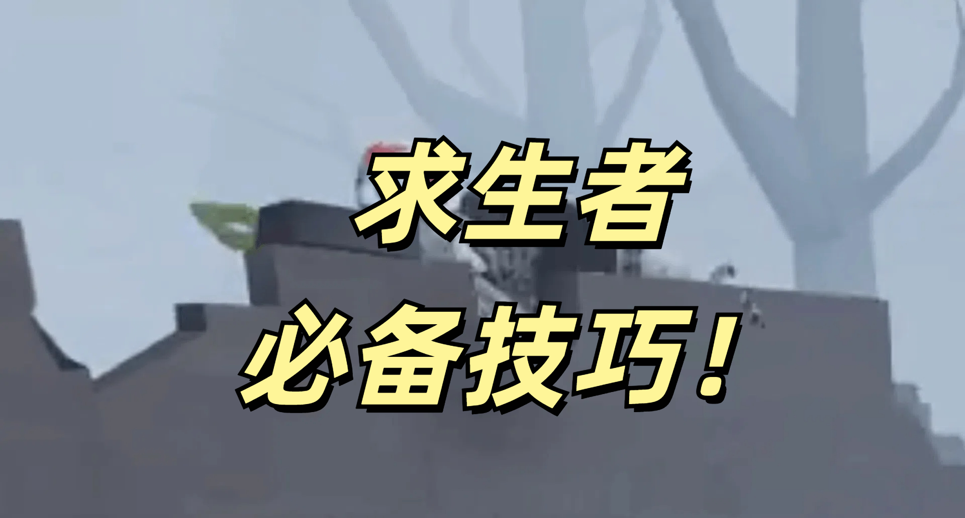 求生者的必备技巧