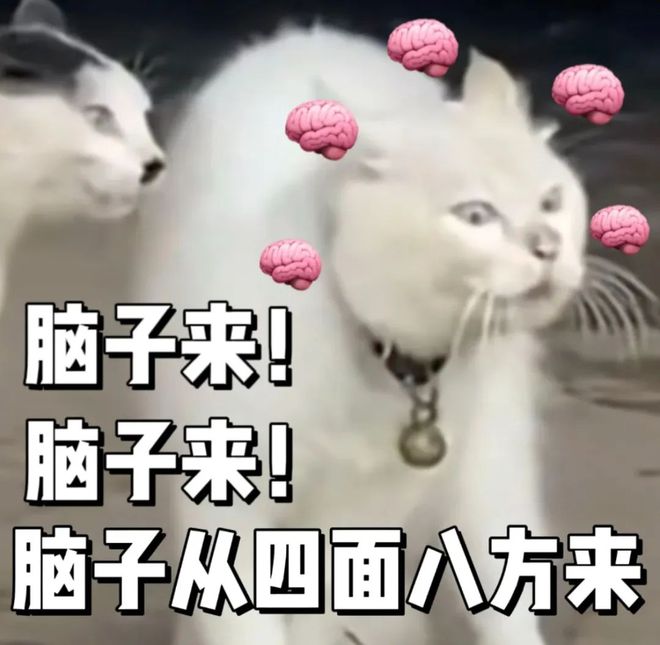 组了个“杂牌快乐队”，打地比T0队还稳，离谱不？