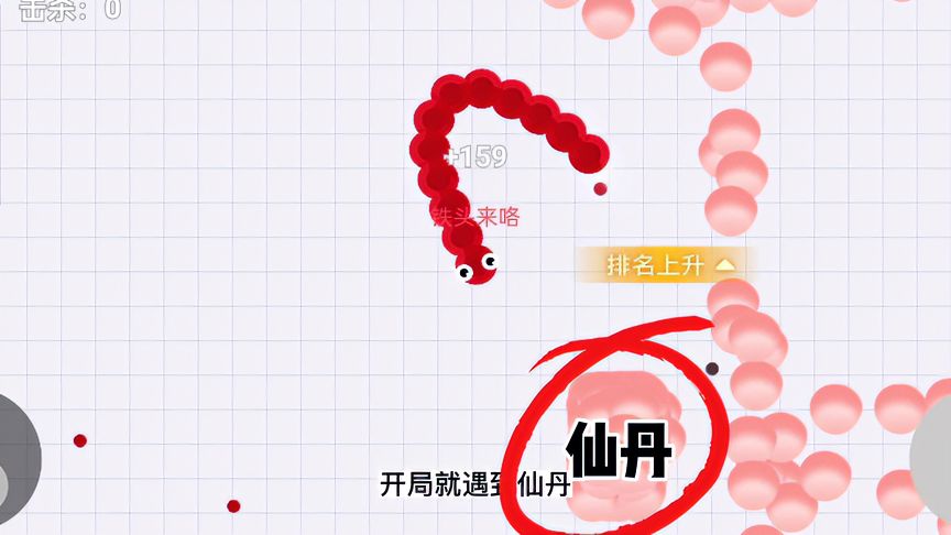 贪吃蛇大作战：开局遇仙丹，太幸运了吧！吃上一口能上多少分呢？