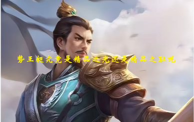 势王昶究竟是精品之光还是精品之耻呢