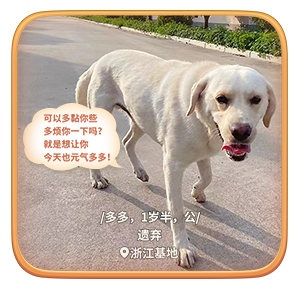 【花园公益季】汪汪队成员大揭秘，你pick哪一位