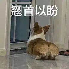 在大荒，反应慢你会错过…… 
