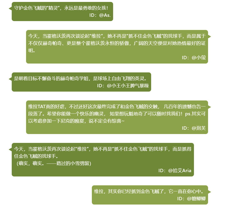 霍格沃茨日常丨保持耐心，是优秀找球手的基本功