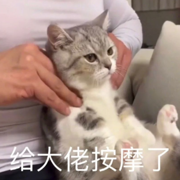 数据统计与排行榜：是激励，还是焦虑的来源？ 
