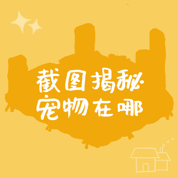 小店日记①｜店长一天不在家，宠物上房又揭瓦？