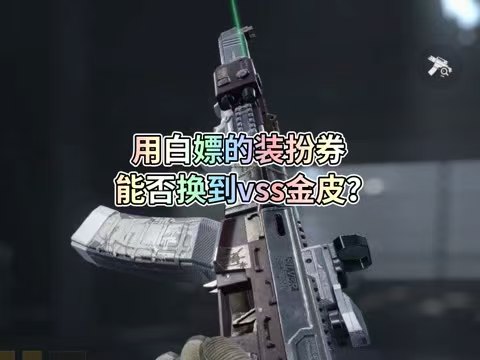 用白嫖的装扮否换能到vss金皮